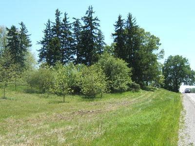 5801 State Rd - Photo 1