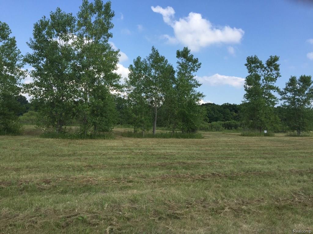 13101 White Oaks Drive - Photo 1
