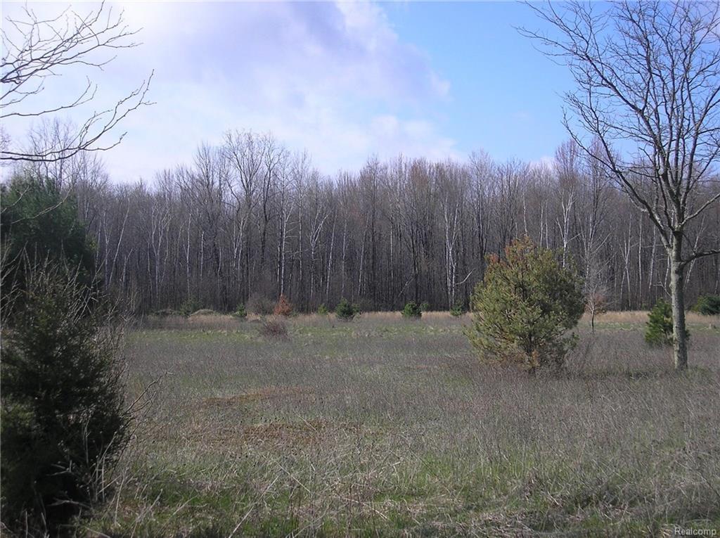 1176 Riley - Photo 1