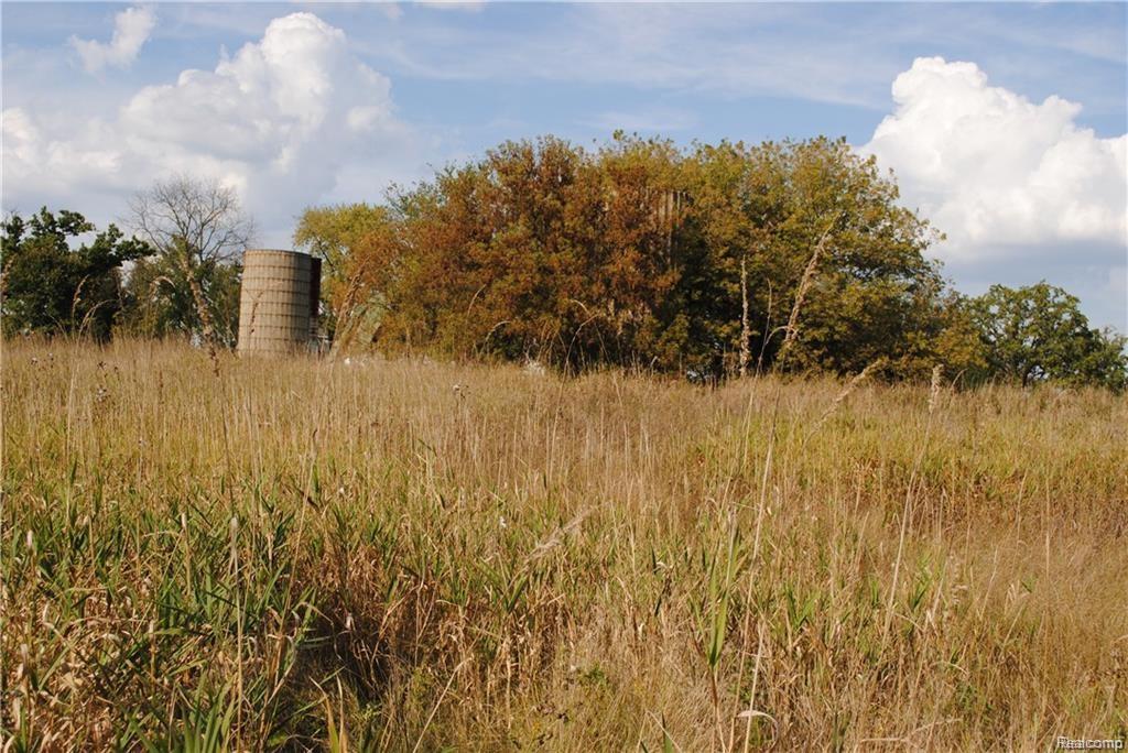 Latson - Photo 1
