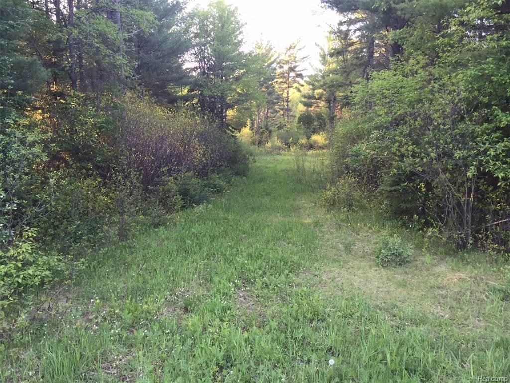 River Ridge - Photo 1