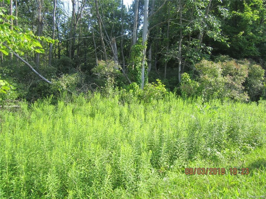 0 Bowers Rd - Photo 1