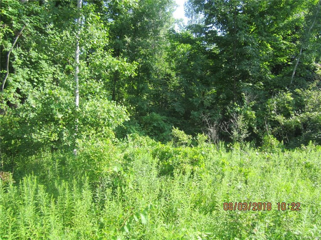 0 Lake Pleasant Rd - Photo 1