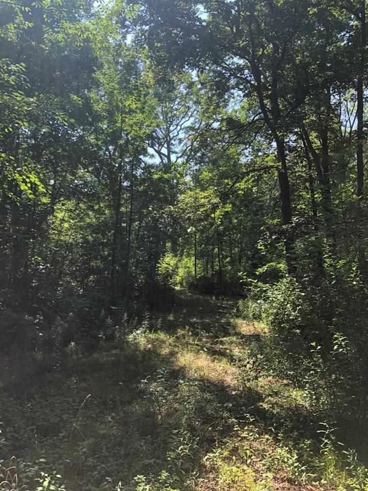 Lapeer - Photo 1