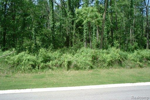 1925 Laflamme Crt - Photo 1