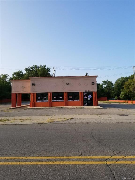 22541 Fenkell St - Photo 1