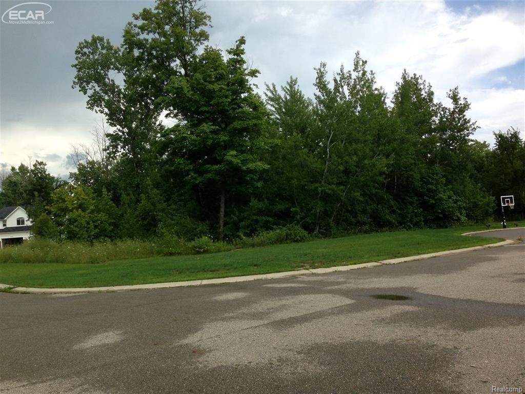 0 Lost Oak Crt - Photo 1