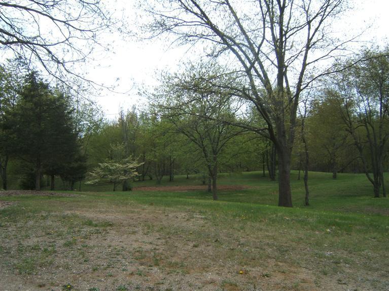 0 Sanborn (Storie Lane) Lot A - Photo 1