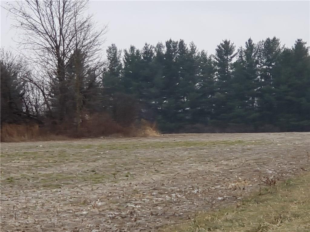 0 Brown Rd - Photo 1
