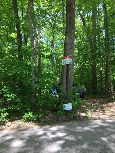 9999 Five Lakes - Photo 1
