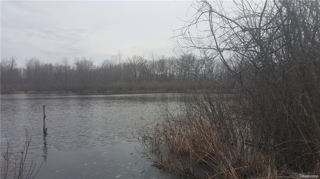 0 Tamarack - Photo 1