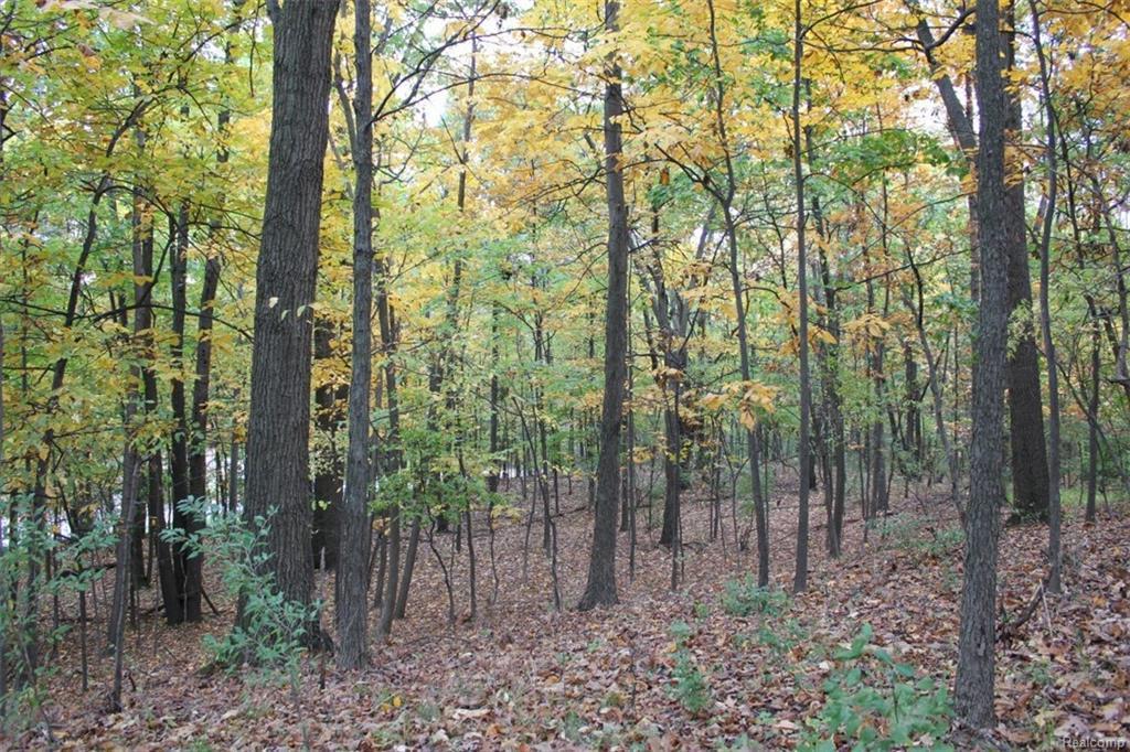 Hickory Valley Rd - Photo 1