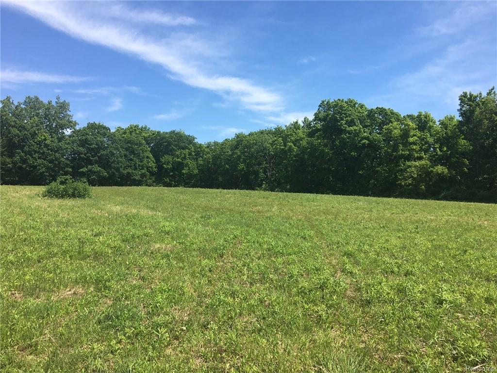 Deer Field Meadows - Photo 1