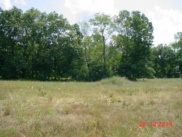 0 Stony Lake Lane - Photo 1