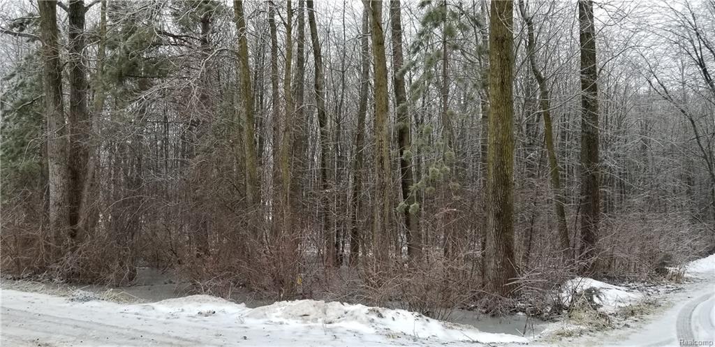 8445 Morrish Road - Photo 1
