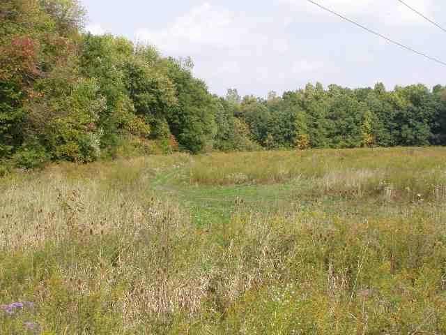 Springport Rd - Photo 1