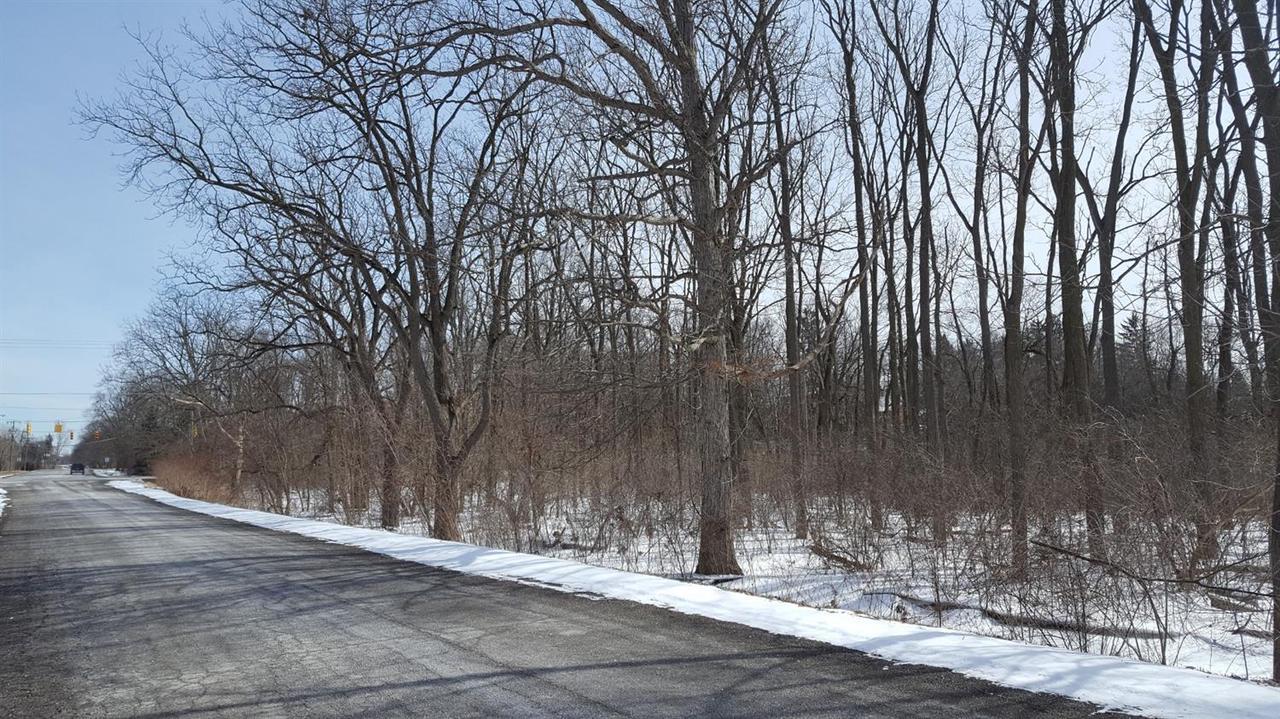 3872 Textile Rd - Photo 1