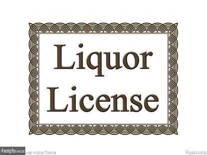 Liquor License Only - Photo 1
