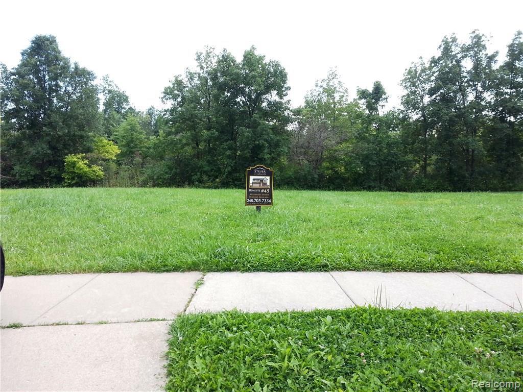 43413 Dorchester - Photo 1