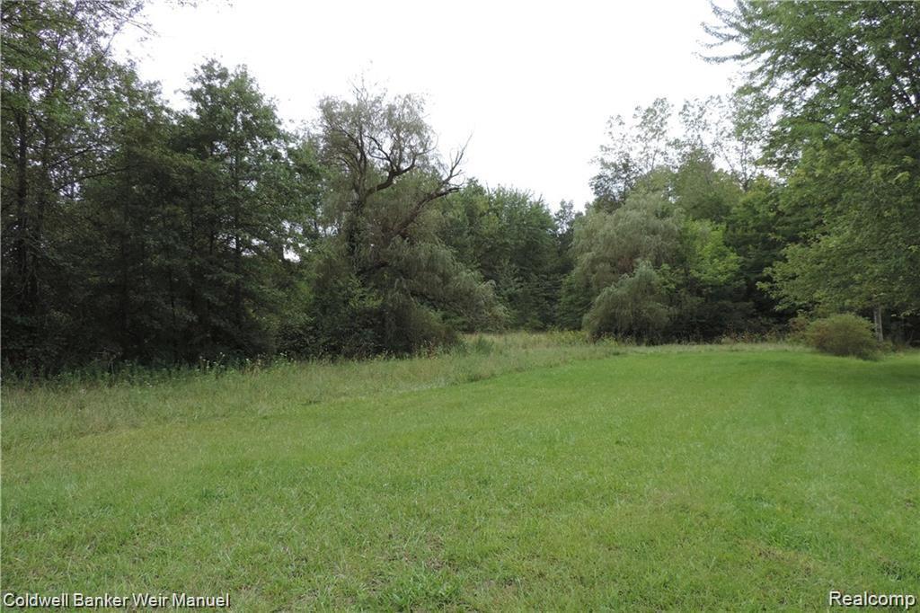 27056 Sumpter Rd - Photo 1