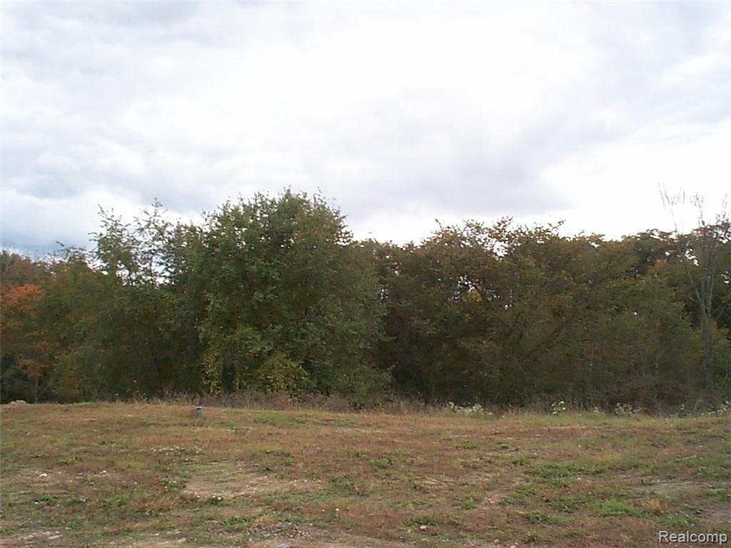 5342 Edgewood Shores Dr - Photo 1