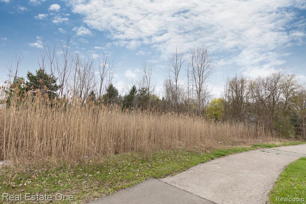 Silverbell Rd - Photo 1