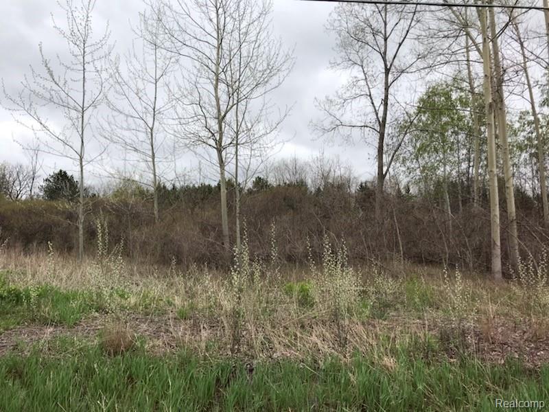 0 Van Dyke Rd - Photo 1