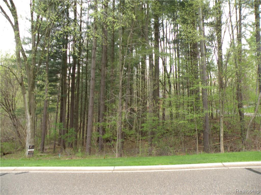 Lot 33 Alta Vista Dr - Photo 1