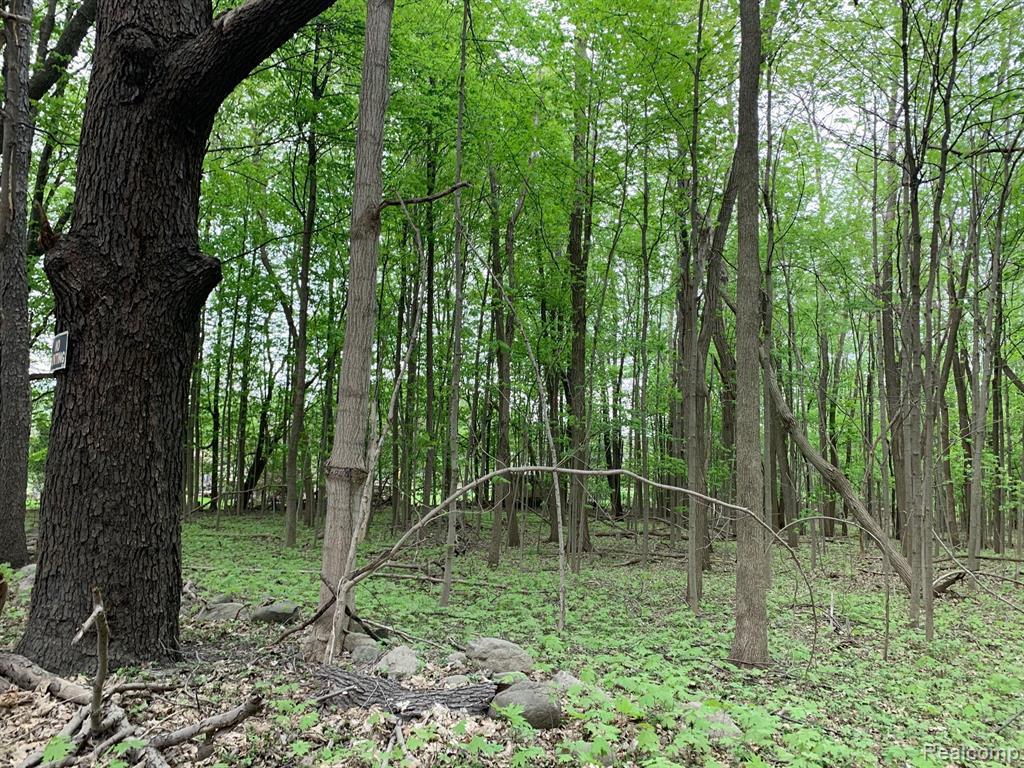 Middle Rd - Photo 1
