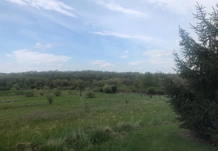 2298 Hillside Ct - Photo 1