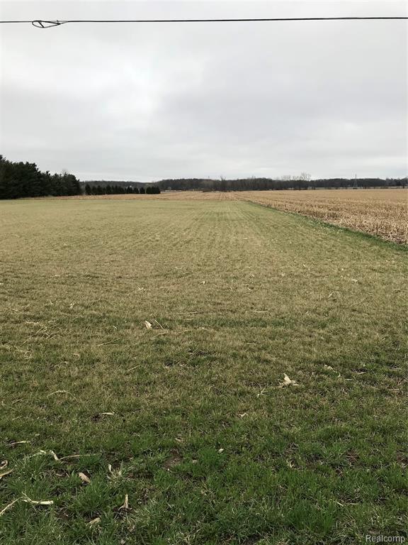 5776 Van Dyke Rd - Photo 1