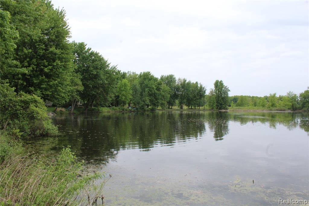 9058 Pineview Lake Crt - Photo 1