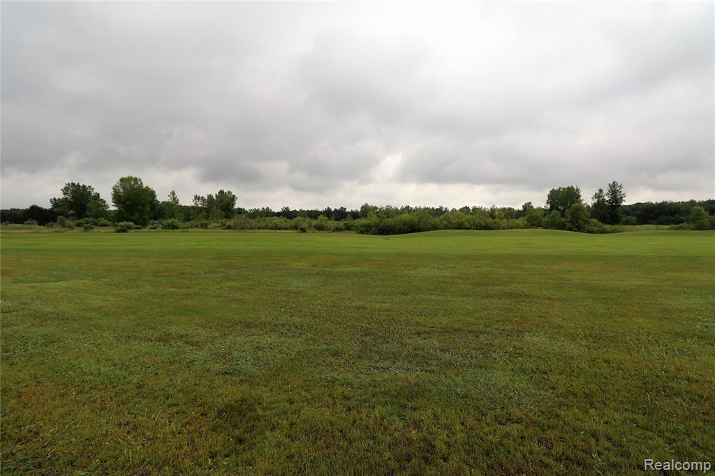 0 Dodge Rd - Photo 1