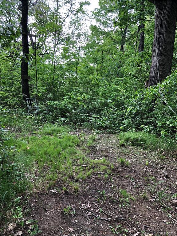 0 Horton Rd - Photo 1