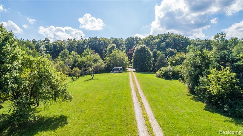 11610 Dixie Hiwy - Photo 1