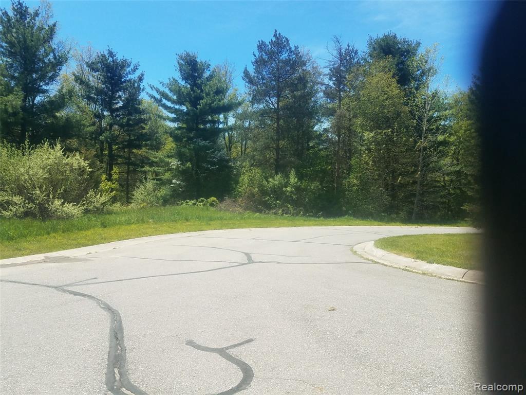 3831 Michael Crt - Photo 1
