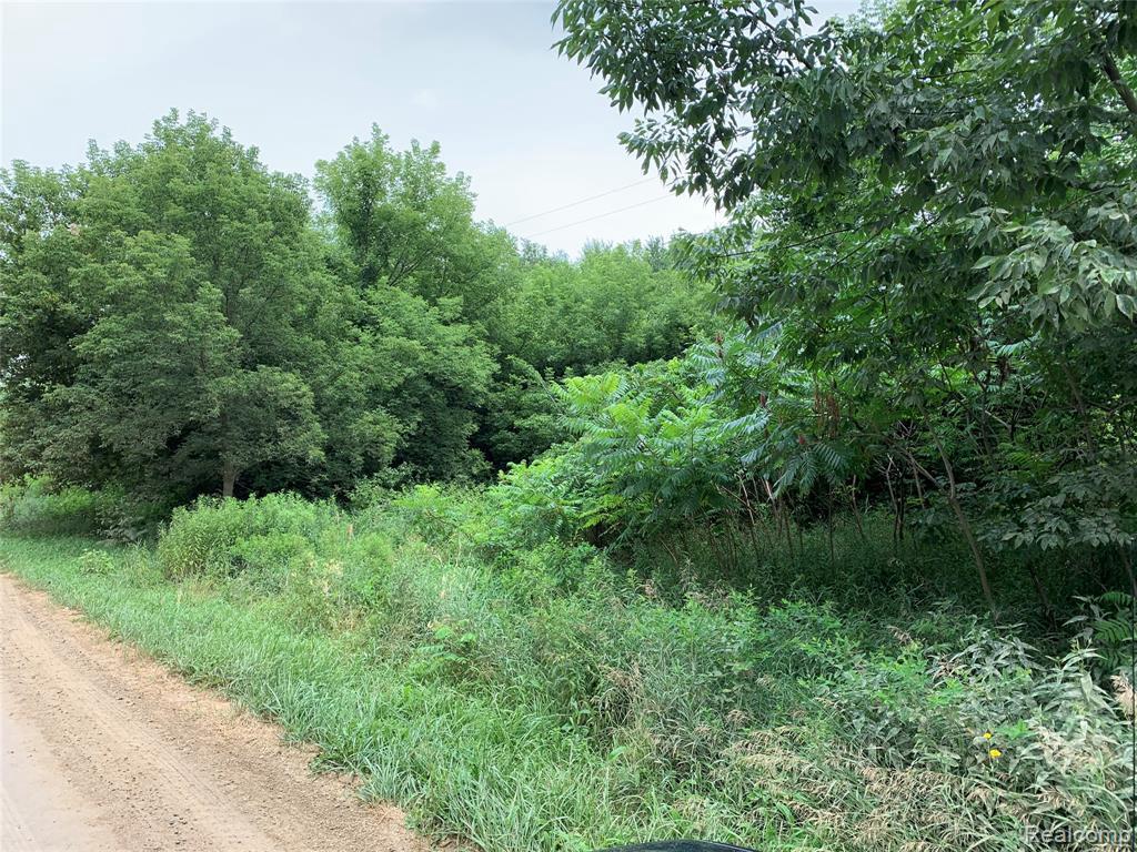 Allen Rd., Parcel 1-B - Photo 1