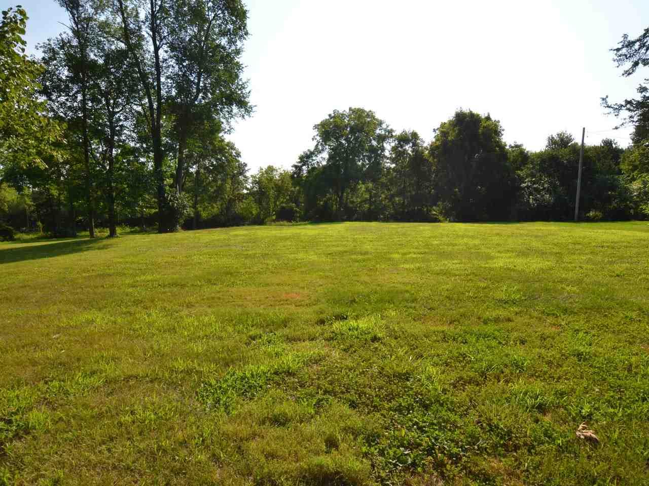 0 Dearing Rd - Photo 1