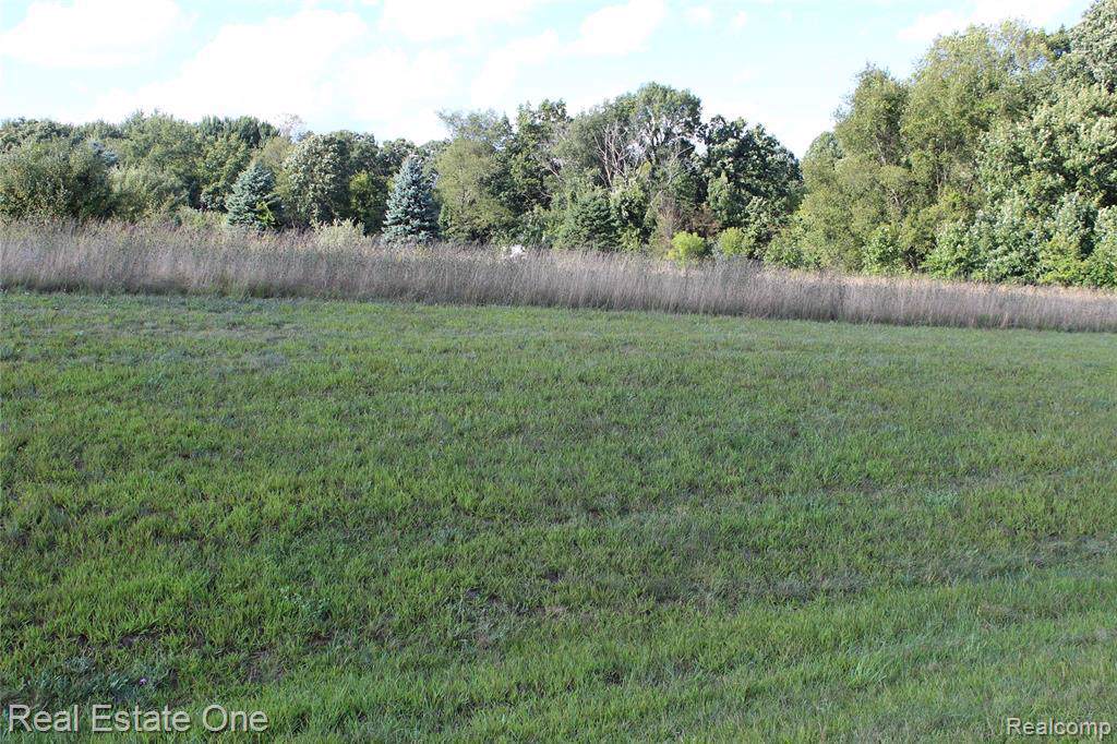 9609 Iosco Ridge Dr - Photo 1