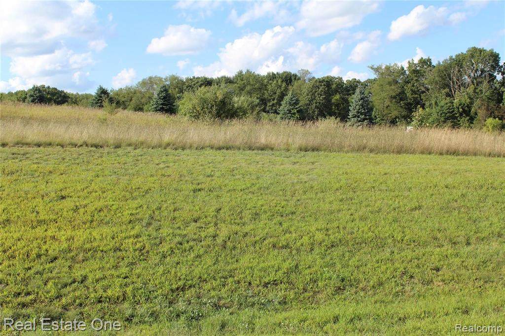 9500 Iosco Ridge Dr - Photo 1
