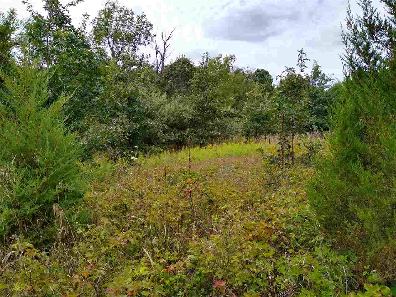 12000 Grassy Lake Rd - Photo 1