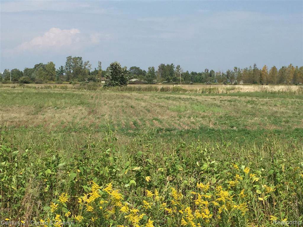 10000 Smith Rd - Photo 1