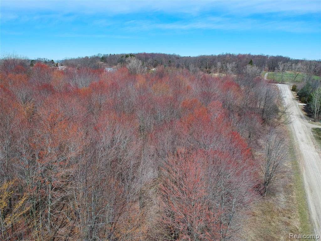 0000 Indian View Trl - Photo 1