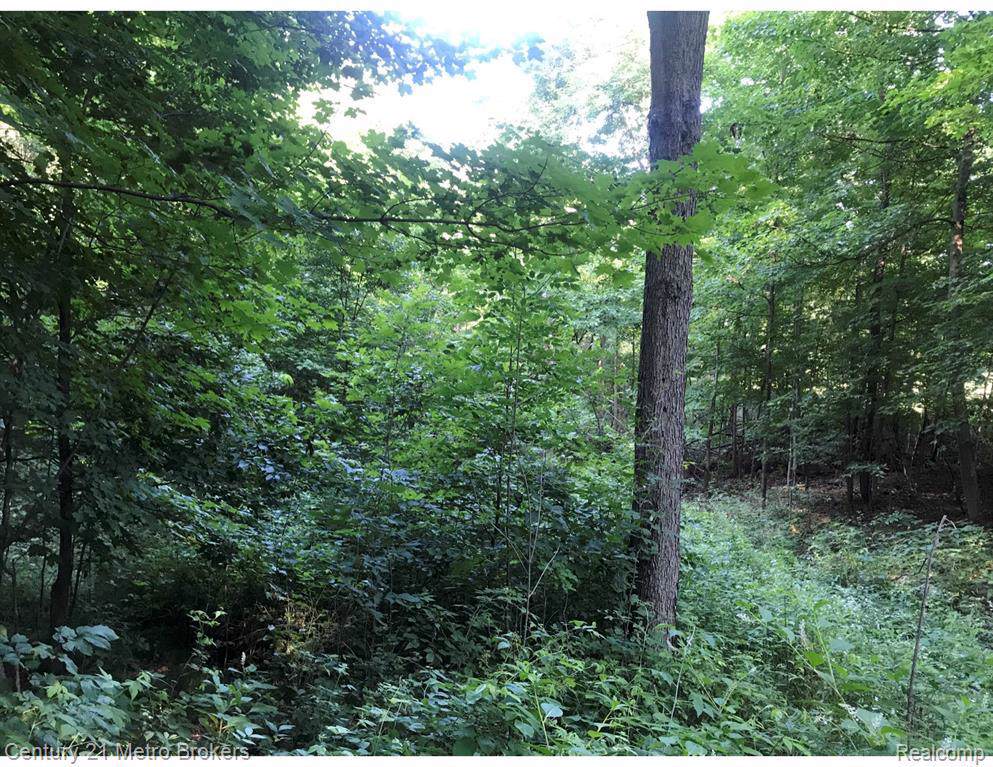 Brocker Rd - Photo 1 Brocker Rd - Photo 1