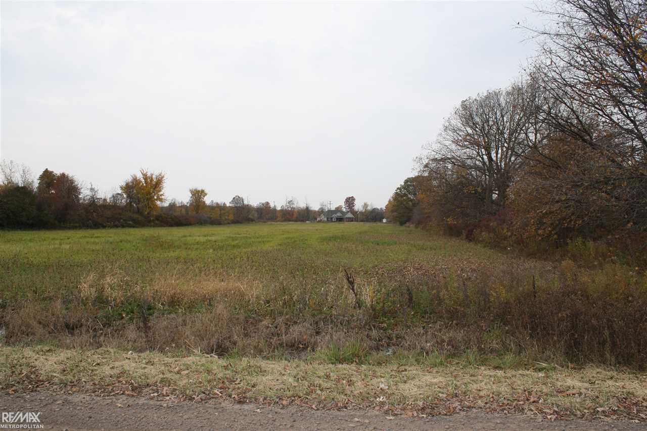 0 Cryderman Rd #2 - Photo 1