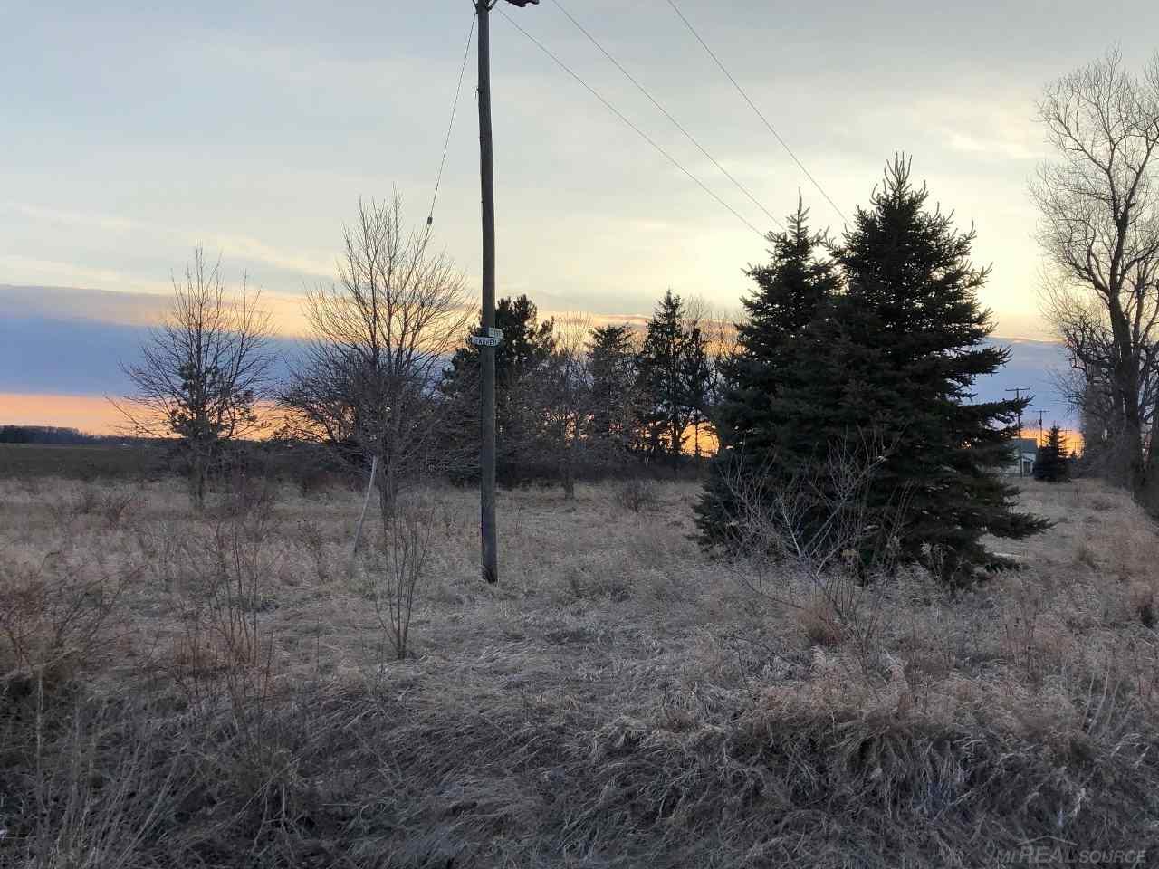 466 Custer Rd. - Photo 1