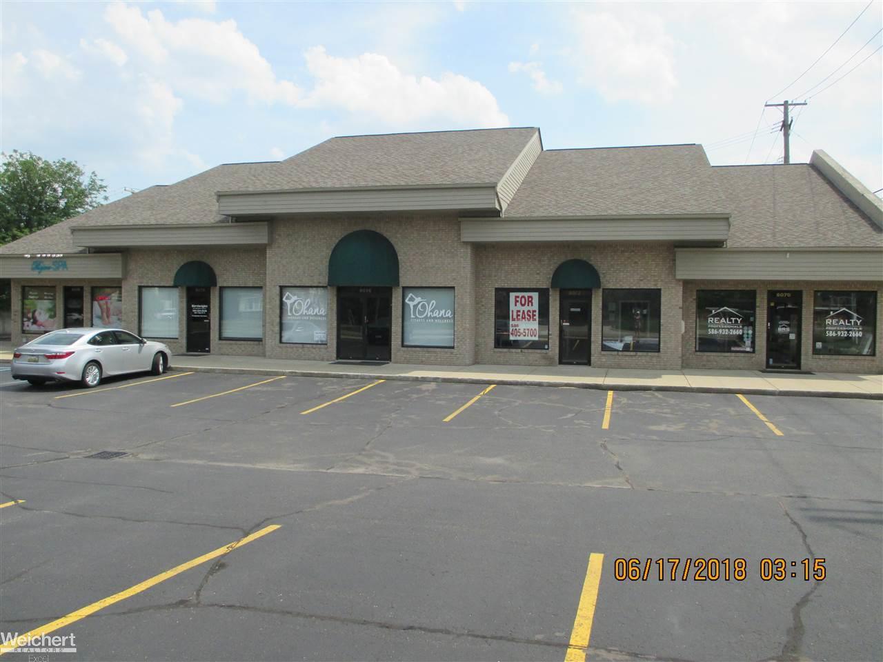 8072 21 Mile - Photo 1