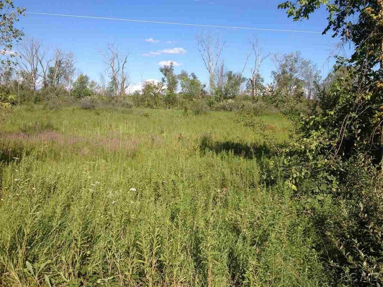 7000 Springville - Photo 1
