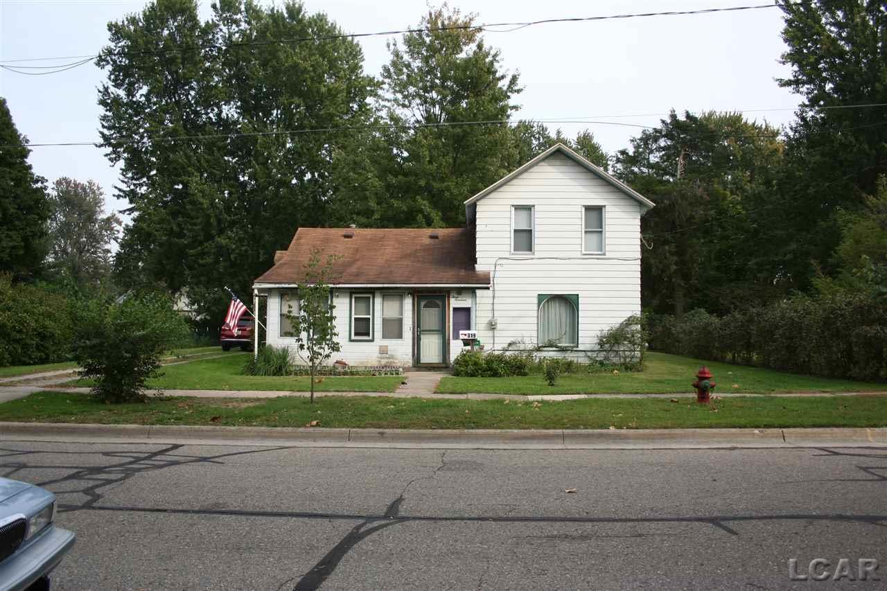 319 Pearl Street - Photo 1