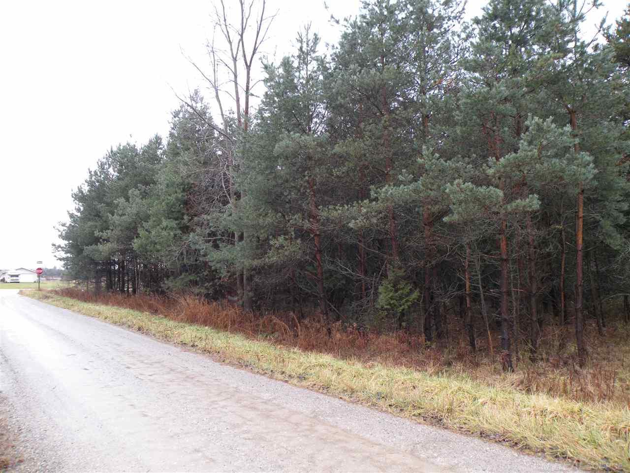 Mann Rd. - Photo 1
